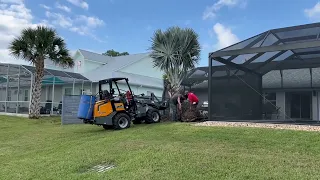 Replacing Trees For Customer