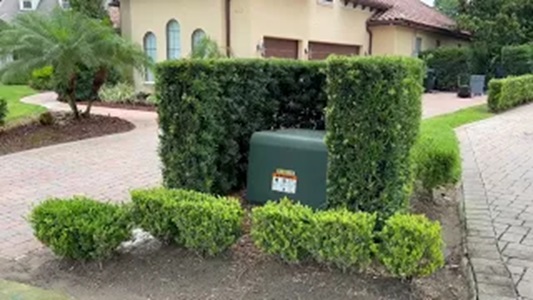 Hedge Hiding Electric Box