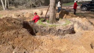 Digging a Huge Live Oak Tree