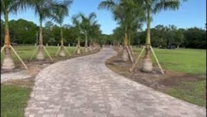 Royal Palms and Alabama Marble Rock Bed