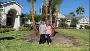 Customers With a Four Trunk Ribbon Palm