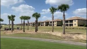 Installed Palms on the Golf Course