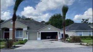 Sylvester Palms Planted to Landscape