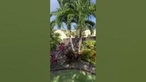 Beautiful Landscape Plants and Palms