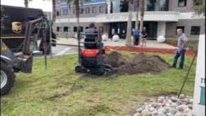 Planting a Southern Red Cedar